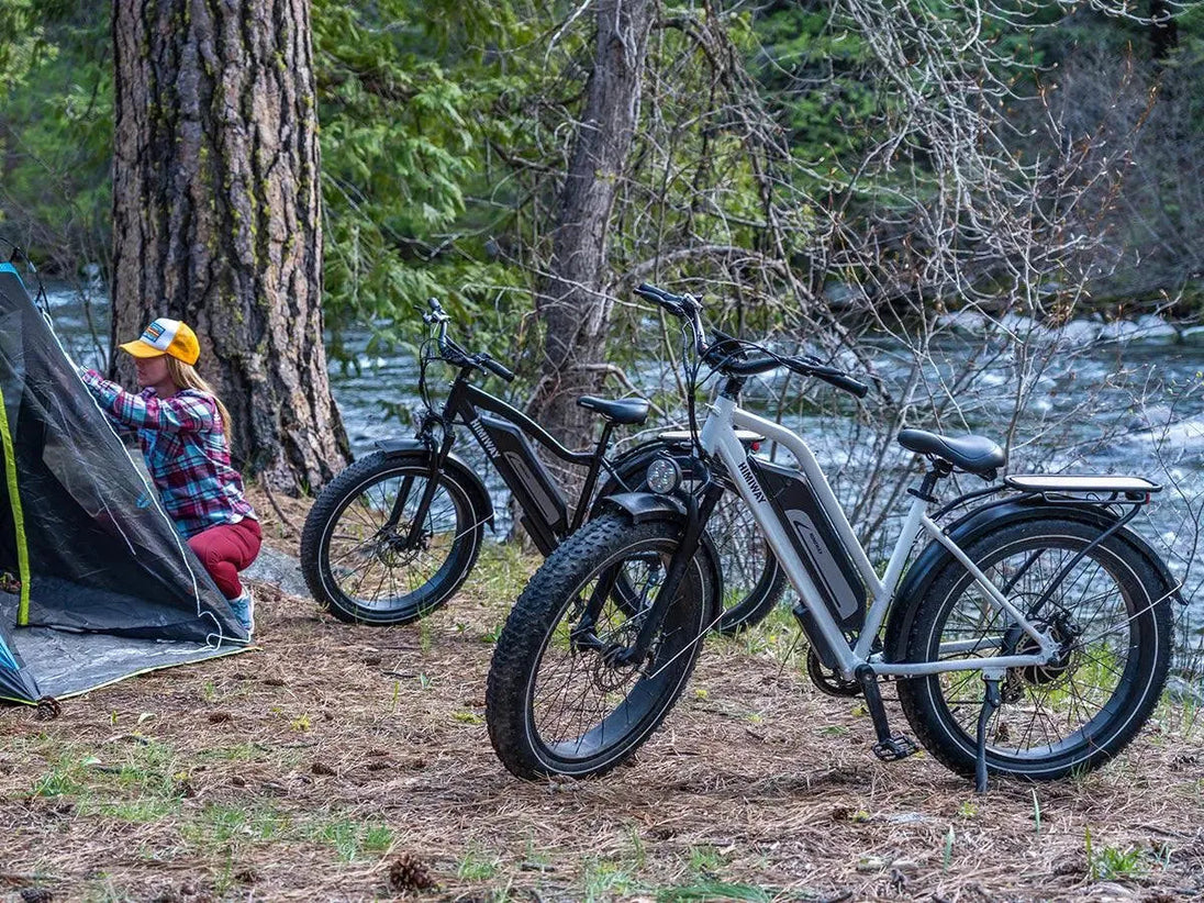 Himiway D3 ST (Cruiser ST) | All Terrain Step Thru Electric Bike -Himiway eBike