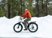 Himiway D3 ST (Cruiser ST) | All Terrain Step Thru Electric Bike -Himiway eBike