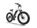 D3 ST(Cruiser ST) / All Terrain Step Thru Electric Bike - Riding 5 Electric Bike