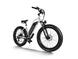 D3 ST(Cruiser ST) / All Terrain Step Thru Electric Bike - Riding 5 Electric Bike
