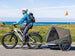 D3 ST(Cruiser ST) / All Terrain Step Thru Electric Bike - Riding 5 Electric Bike