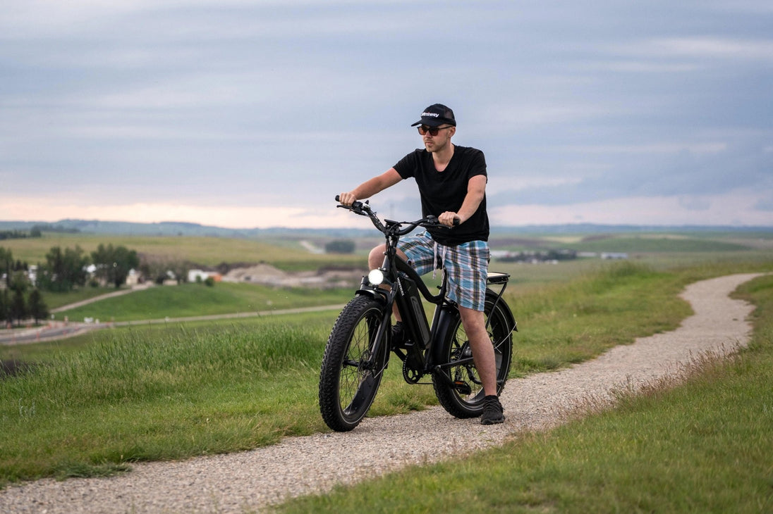 D3(Cruiser) / Long Range Fat Tire Electric Bike - Riding 5 Electric Bike