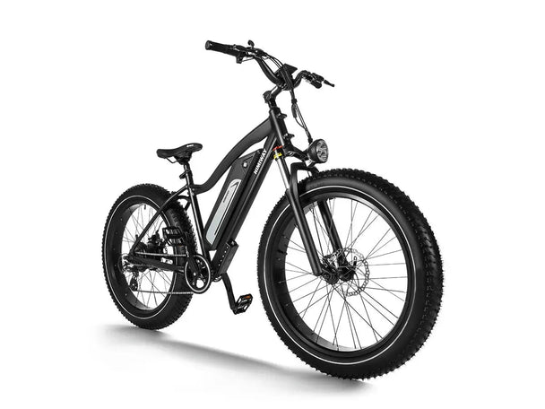 D3(Cruiser) / Long Range Fat Tire Electric Bike - Riding 5 Electric Bike