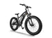 D3(Cruiser) / Long Range Fat Tire Electric Bike - Riding 5 Electric Bike