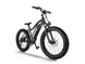 D3(Cruiser) / Long Range Fat Tire Electric Bike - Riding 5 Electric Bike