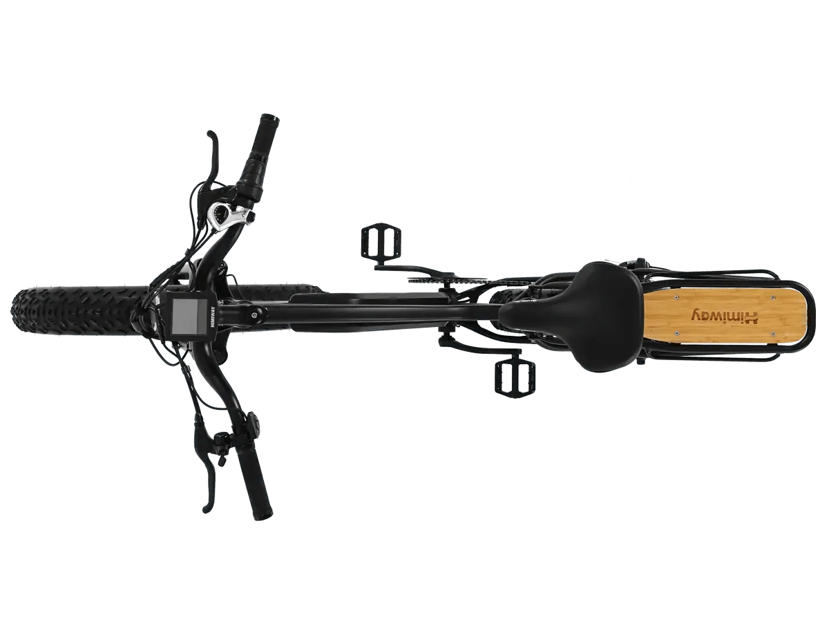 D3(Cruiser) / Long Range Fat Tire Electric Bike - Riding 5 Electric Bike