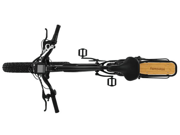 D3(Cruiser) / Long Range Fat Tire Electric Bike - Riding 5 Electric Bike