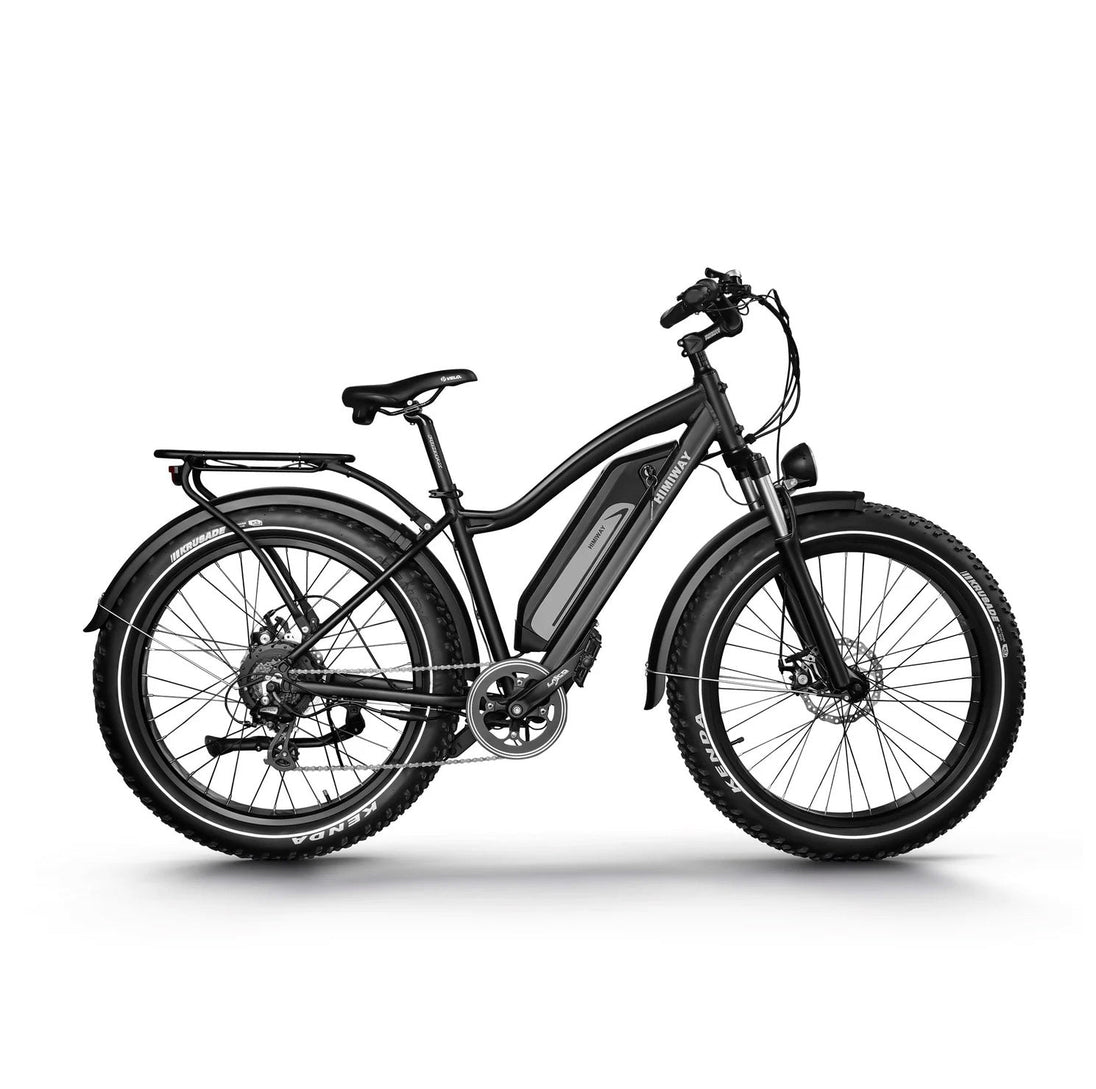 D3(Cruiser) / Long Range Fat Tire Electric Bike - Riding 5 Electric Bike