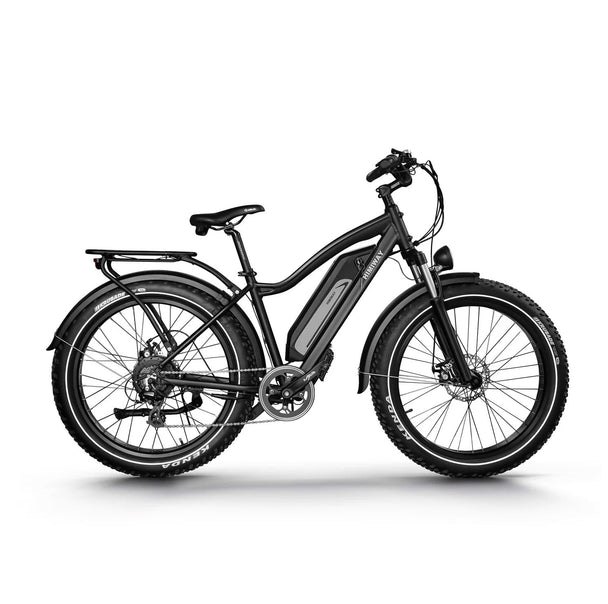 D3(Cruiser) / Long Range Fat Tire Electric Bike - Riding 5 Electric Bike