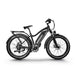 D3(Cruiser) / Long Range Fat Tire Electric Bike - Riding 5 Electric Bike