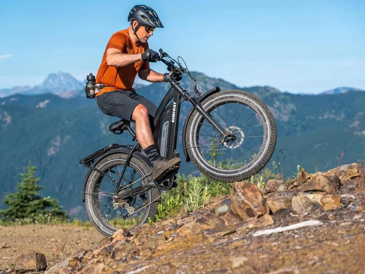 D3(Cruiser) / Long Range Fat Tire Electric Bike - Riding 5 Electric Bike