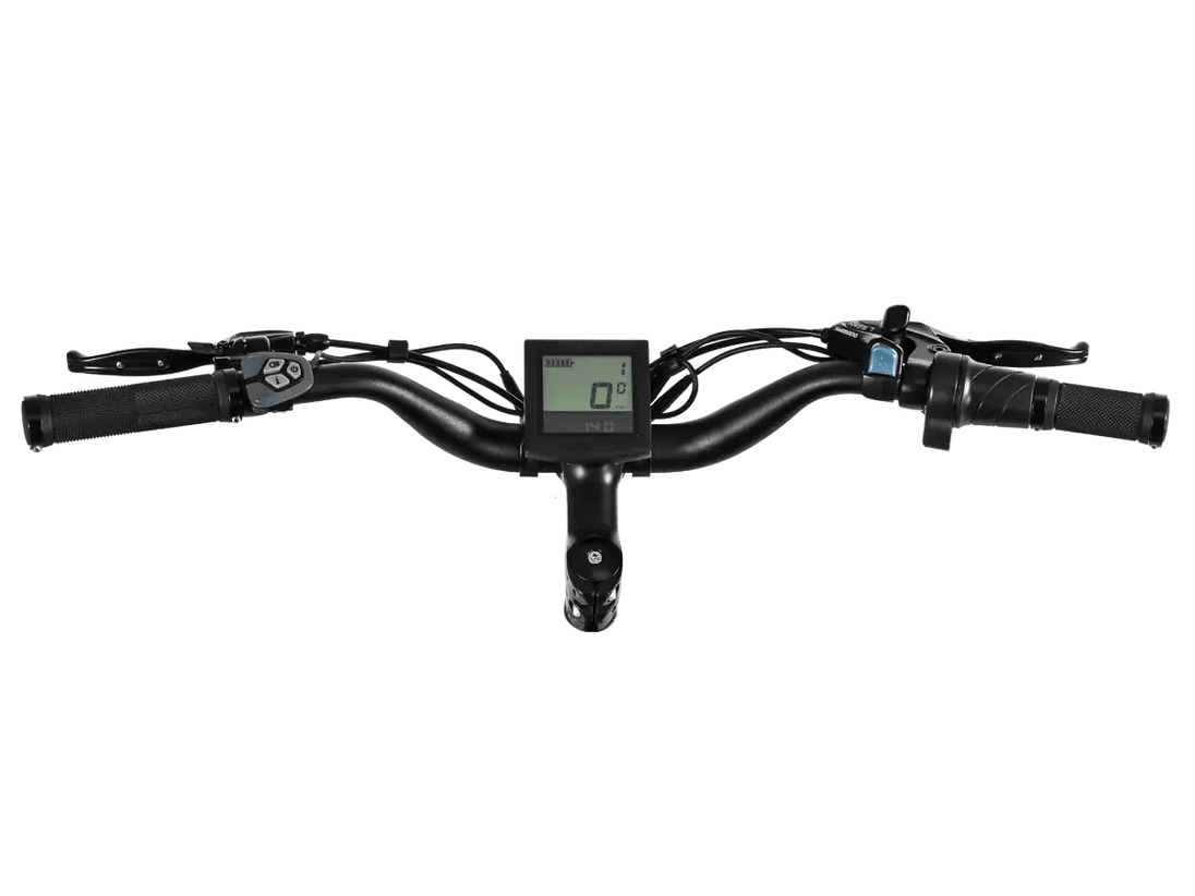 D3(Cruiser) / Long Range Fat Tire Electric Bike - Riding 5 Electric Bike