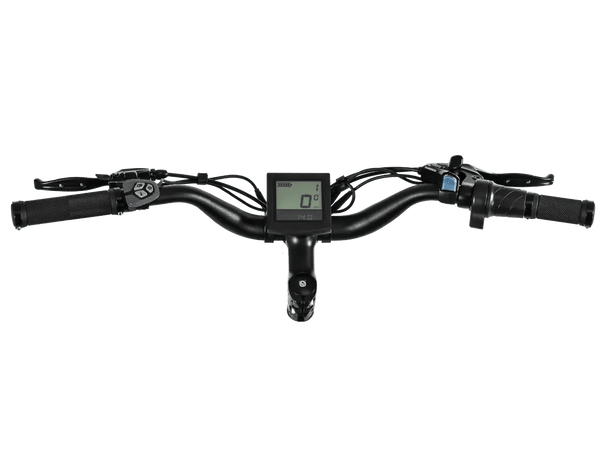 D3(Cruiser) / Long Range Fat Tire Electric Bike - Riding 5 Electric Bike