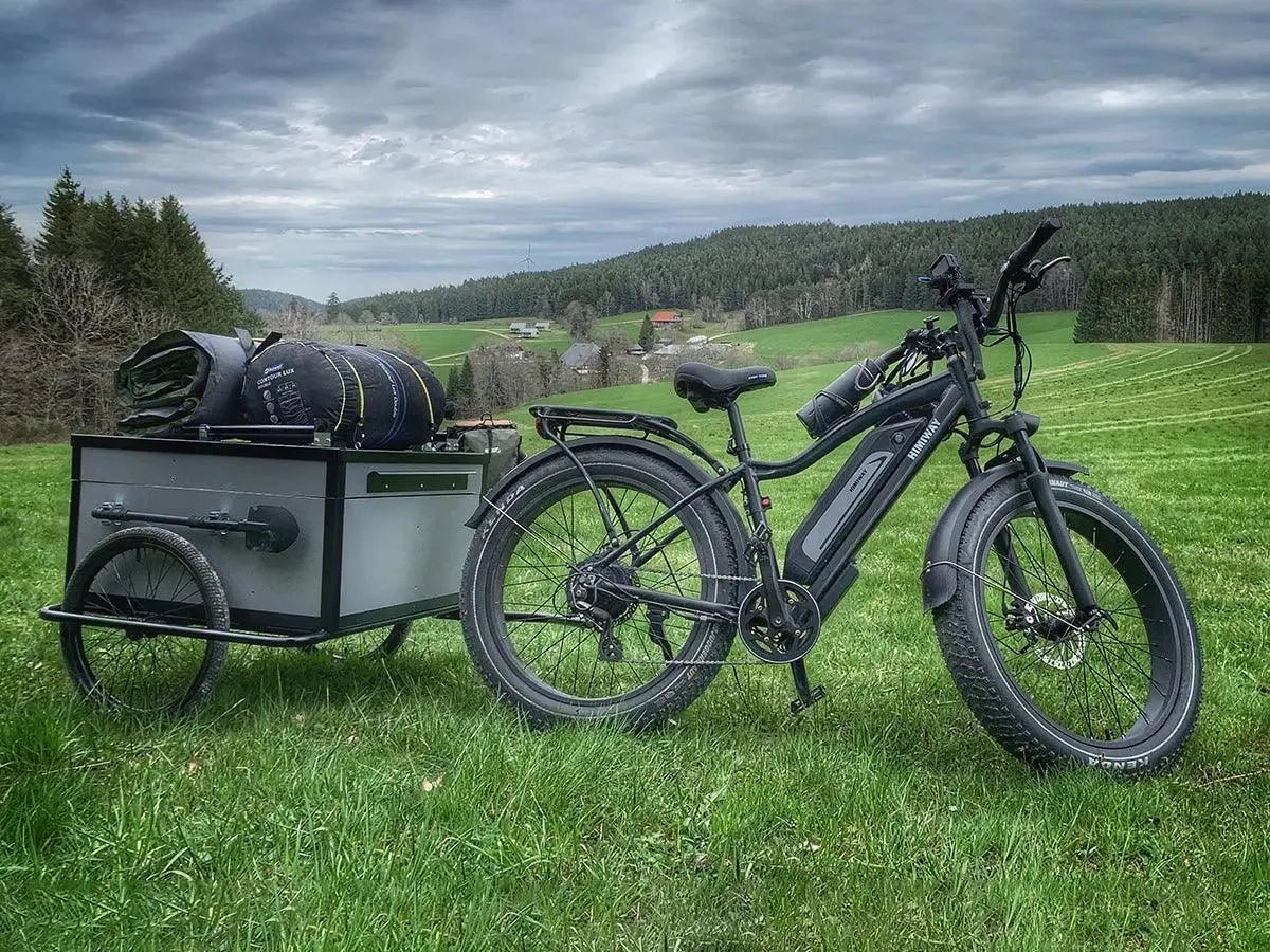 D3(Cruiser) / Long Range Fat Tire Electric Bike - Riding 5 Electric Bike