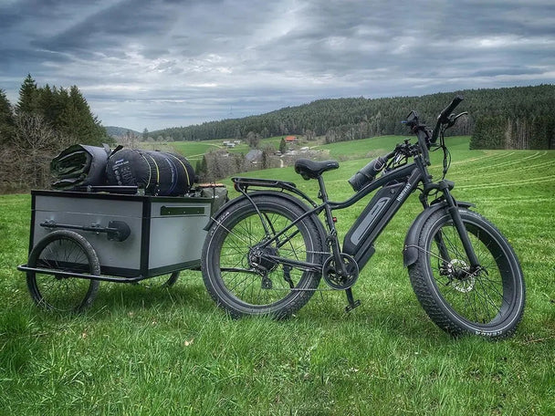 D3(Cruiser) / Long Range Fat Tire Electric Bike - Riding 5 Electric Bike