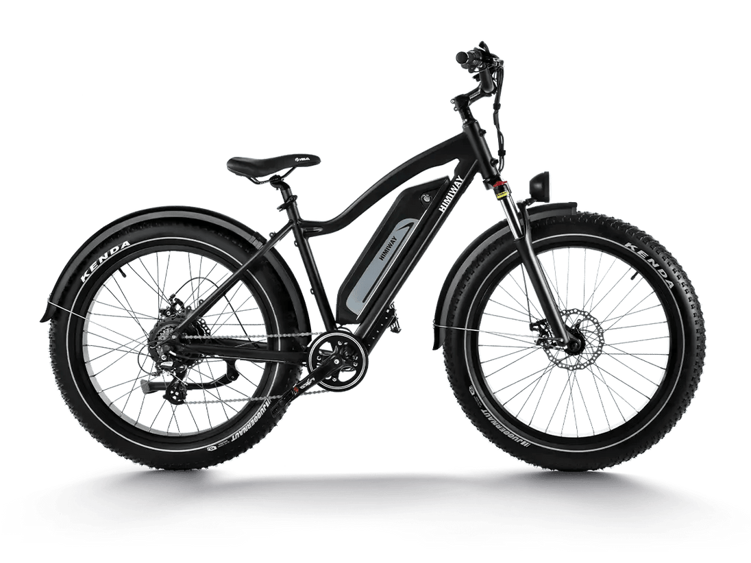 D3(Cruiser) / Long Range Fat Tire Electric Bike - Riding 5 Electric Bike