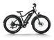 D3(Cruiser) / Long Range Fat Tire Electric Bike - Riding 5 Electric Bike