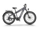 D5 Plus(Rhino) / Dual Battery Off - road Electric Bike - Riding 5 Electric Bike