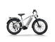 D5 Pro / Premium All - terrain Electric Fat Bike - Riding 5 Electric Bike