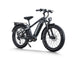 D5 Pro / Premium All - terrain Electric Fat Bike - Riding 5 Electric Bike