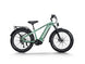 D5 Pro / Premium All - terrain Electric Fat Bike - Riding 5 Electric Bike