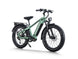 D5 Pro / Premium All - terrain Electric Fat Bike - Riding 5 Electric Bike