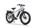 D5 Pro / Premium All - terrain Electric Fat Bike - Riding 5 Electric Bike