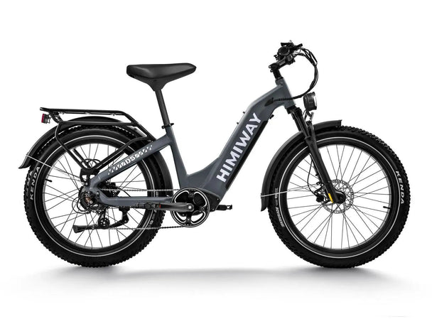 D5 ST(Zebra ST) / Premium All - terrain Electric Fat Bike - Riding 5 Electric Bike