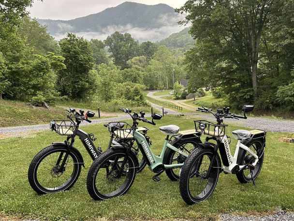 D5 ST(Zebra ST) / Premium All - terrain Electric Fat Bike - Riding 5 Electric Bike