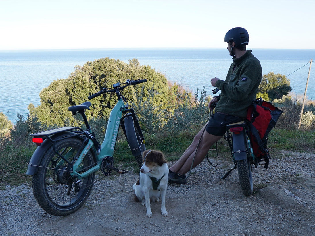 D5 ST(Zebra ST) / Premium All - terrain Electric Fat Bike - Riding 5 Electric Bike