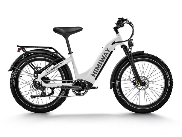 D5 ST(Zebra ST) / Premium All - terrain Electric Fat Bike - Riding 5 Electric Bike