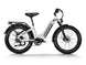 D5 ST(Zebra ST) / Premium All - terrain Electric Fat Bike - Riding 5 Electric Bike
