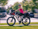 D5 ST(Zebra ST) / Premium All - terrain Electric Fat Bike - Riding 5 Electric Bike