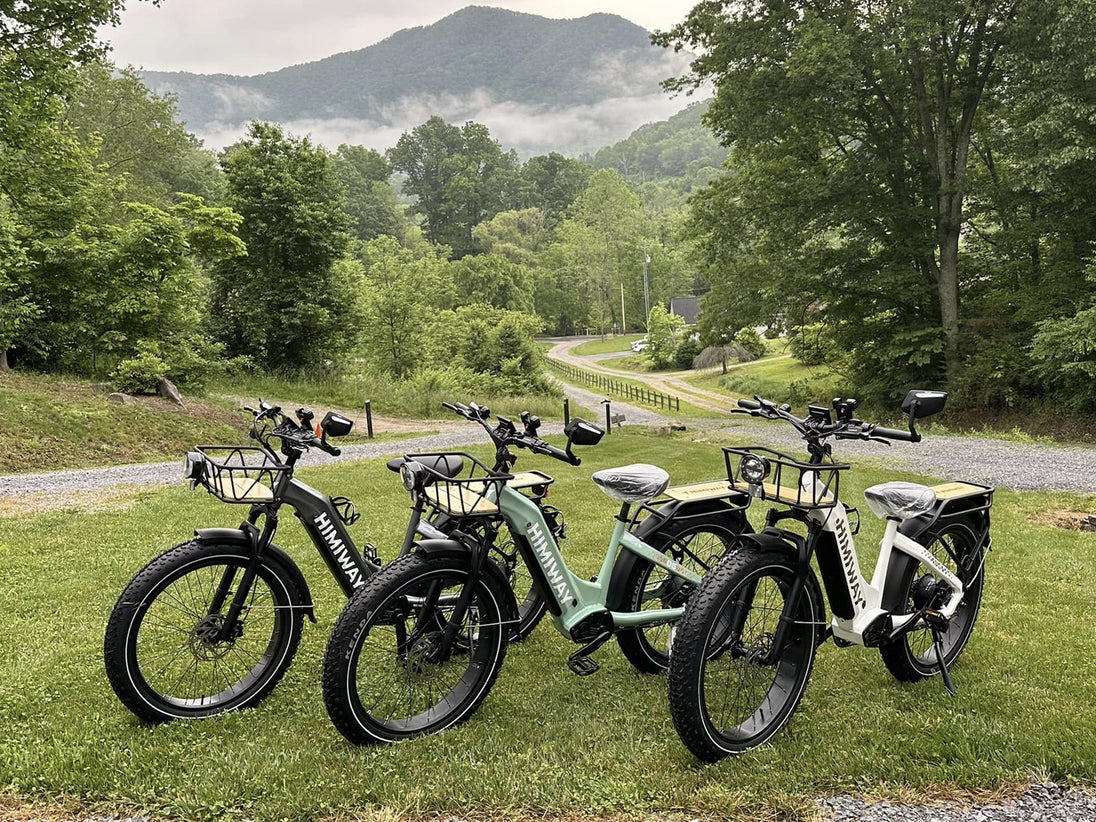 Himiway D5 ST (Zebra ST) | Premium All-terrain Electric Fat Bike -Himiway eBike