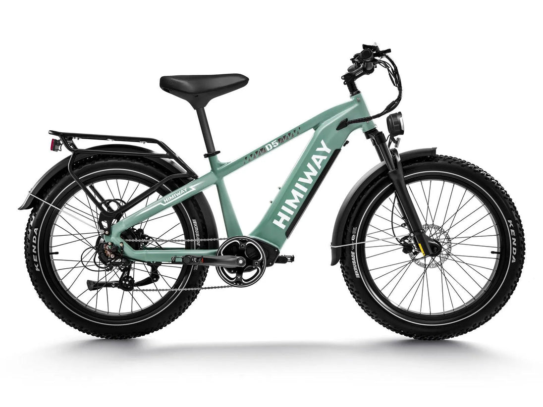 D5(Zebra) / Premium All - terrain Electric Fat Bike - Riding 5 Electric Bike