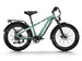 D5(Zebra) / Premium All - terrain Electric Fat Bike - Riding 5 Electric Bike