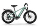 D5(Zebra) / Premium All - terrain Electric Fat Bike - Riding 5 Electric Bike