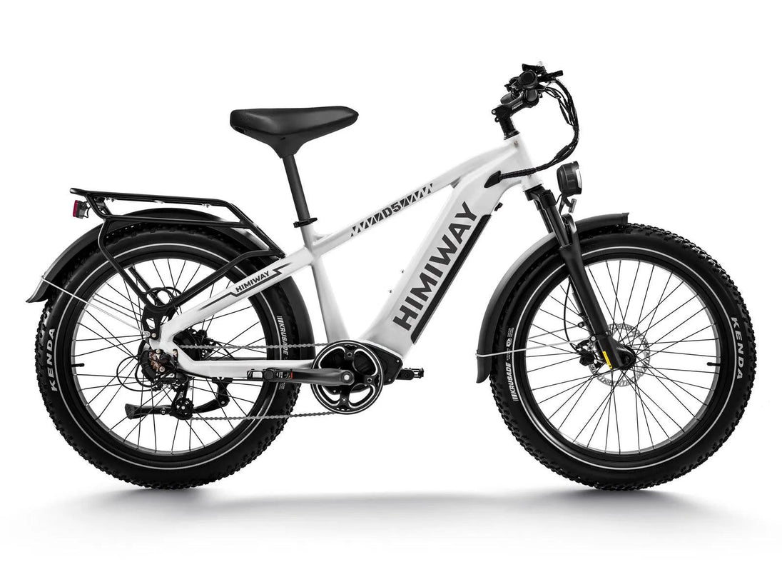 D5(Zebra) / Premium All - terrain Electric Fat Bike - Riding 5 Electric Bike