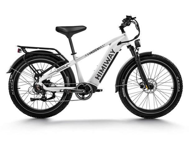 D5(Zebra) / Premium All - terrain Electric Fat Bike - Riding 5 Electric Bike
