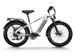 D5(Zebra) / Premium All - terrain Electric Fat Bike - Riding 5 Electric Bike