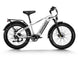 D5(Zebra) / Premium All - terrain Electric Fat Bike - Riding 5 Electric Bike