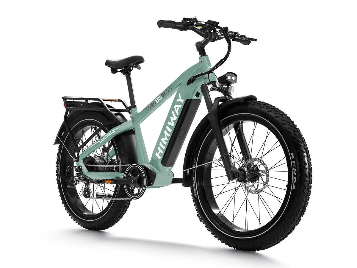 D5(Zebra) / Premium All - terrain Electric Fat Bike - Riding 5 Electric Bike