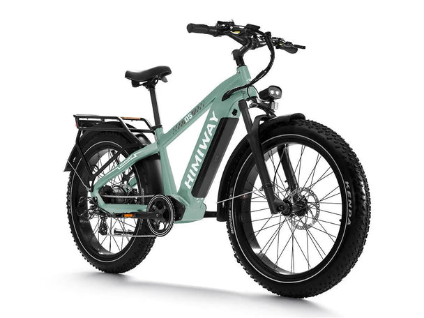 D5(Zebra) / Premium All - terrain Electric Fat Bike - Riding 5 Electric Bike