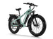 D5(Zebra) / Premium All - terrain Electric Fat Bike - Riding 5 Electric Bike