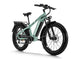 D5(Zebra) / Premium All - terrain Electric Fat Bike - Riding 5 Electric Bike