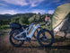 D5(Zebra) / Premium All - terrain Electric Fat Bike - Riding 5 Electric Bike