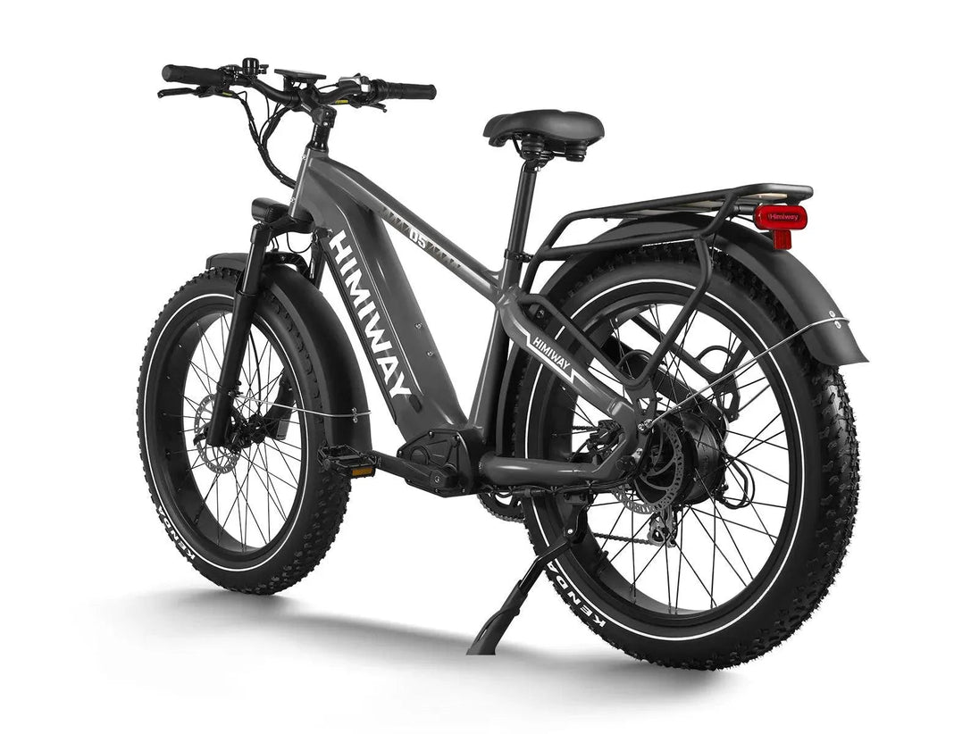D5(Zebra) / Premium All - terrain Electric Fat Bike - Riding 5 Electric Bike