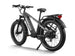 D5(Zebra) / Premium All - terrain Electric Fat Bike - Riding 5 Electric Bike
