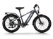 D5(Zebra) / Premium All - terrain Electric Fat Bike - Riding 5 Electric Bike