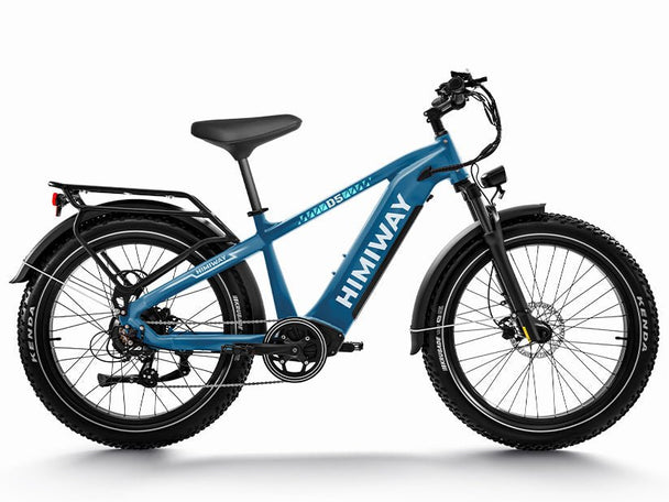 D5(Zebra) / Premium All - terrain Electric Fat Bike - Riding 5 Electric Bike